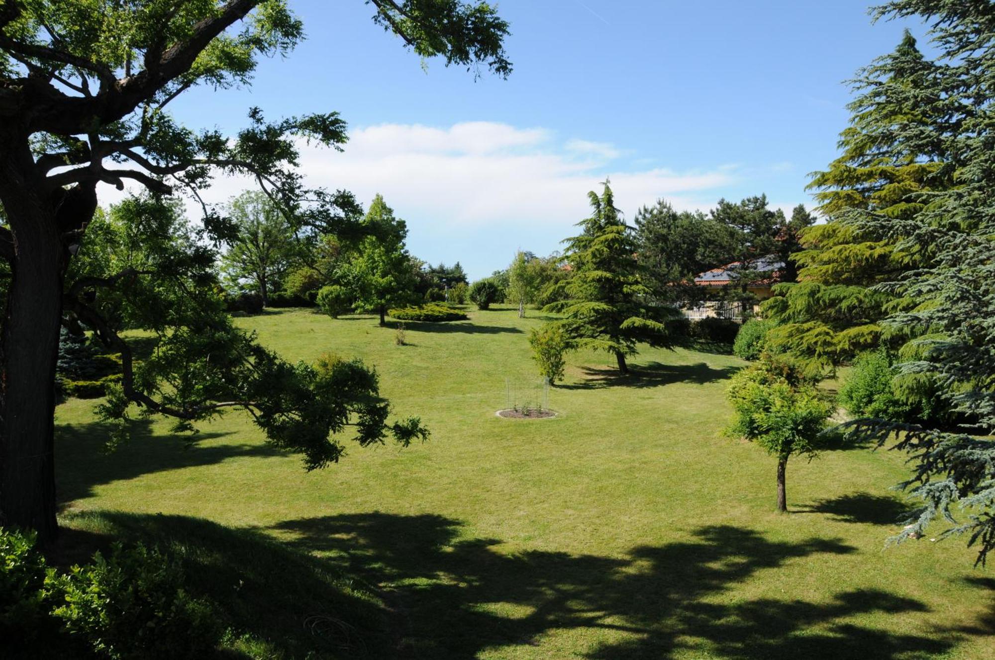 Villa Ester Tagliolo Monferrato Ngoại thất bức ảnh