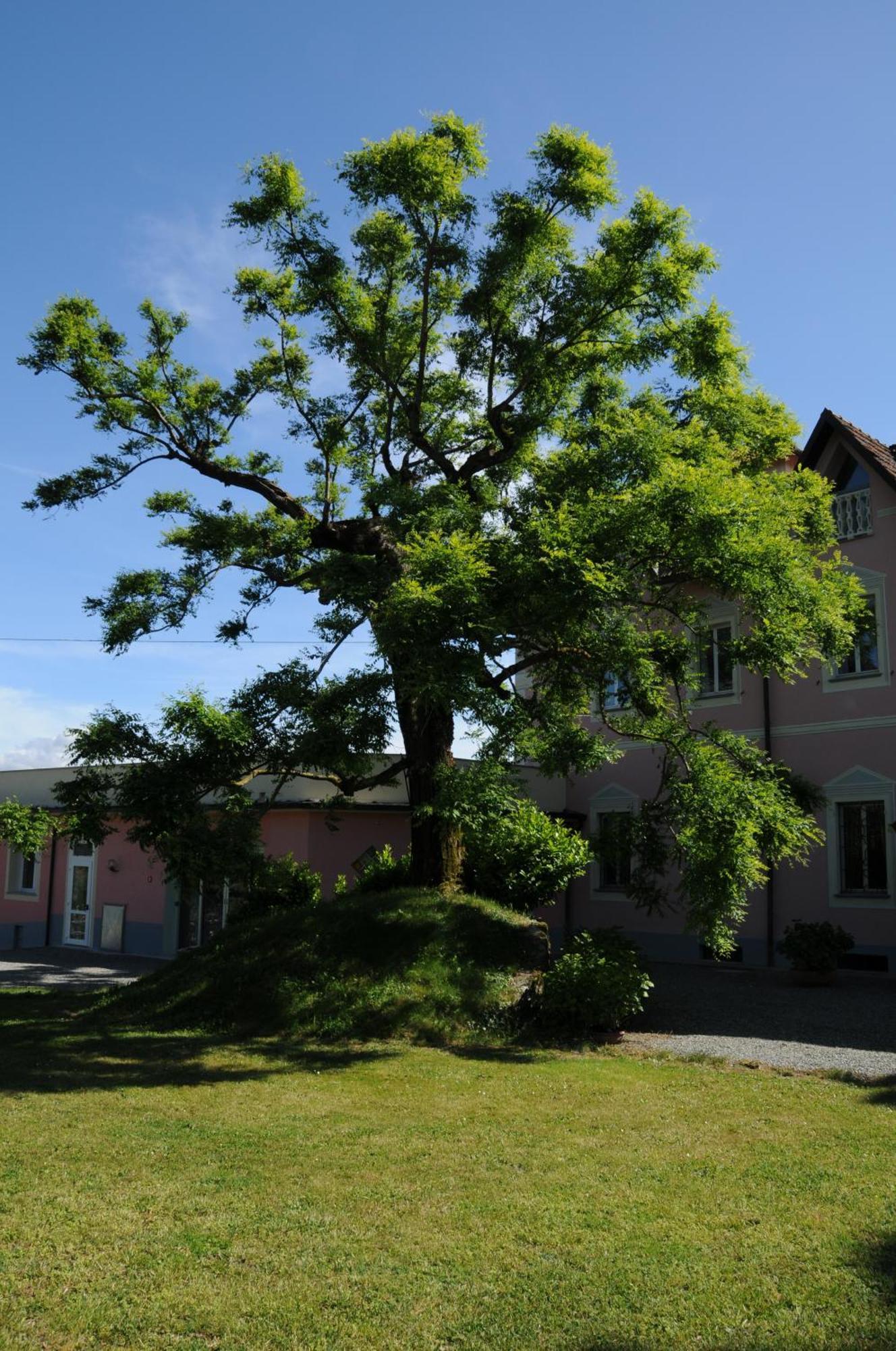Villa Ester Tagliolo Monferrato Ngoại thất bức ảnh